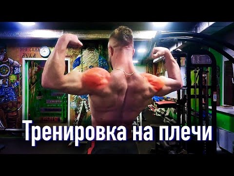 Видео: Тренировка плеч