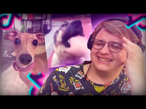 Видео: ПЯТЁРКА СМОТРИТ ПОДБОРКУ ТИК ТОКОВ 16# | Нарезка стрима @5opka