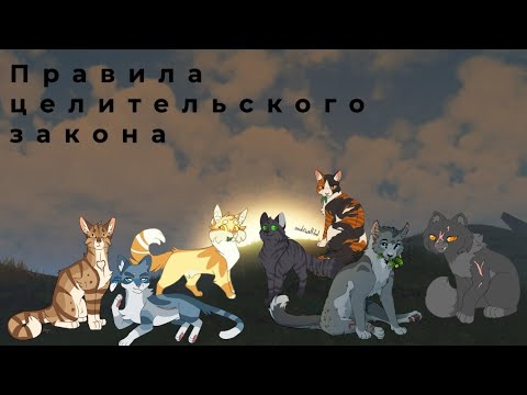 Видео: Правила целительского закона // •[Дымолапка КВ[•