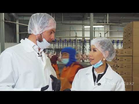 Видео: Экскурсия по птицефабрике