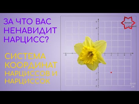 Видео: За что вас ненавидят нарциссы? Образ мысли всех нарциссов (и мужчин и женщин). Система координат.