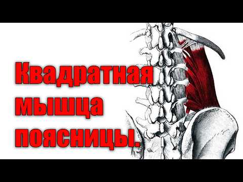 Видео: Растяжка квадратной мышцы поясницы. Нюансы и ошибки.