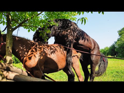 Видео: ❗ХОЧЕ, але не🎯 ДАЄ!!!☎️ СОКРАТ ♥️працює)