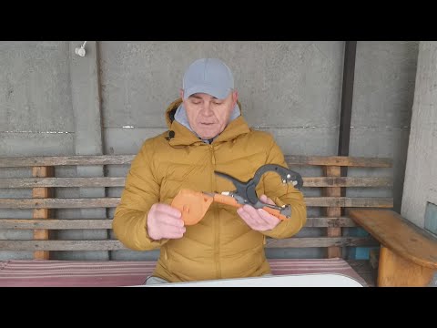 Видео: Тапенер для подвязки винограда и кустов помидоров.