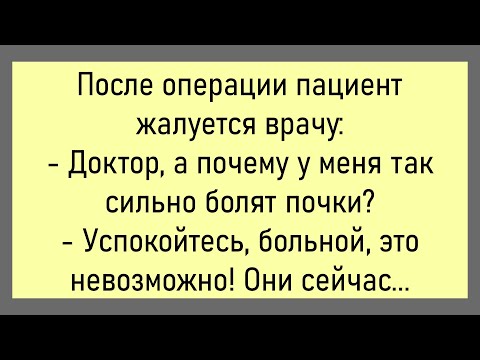Видео: 🤡Молодожёны Договорились,Что Если ...Большой Сборник Смешных Анекдотов,Для Супер Настроения!
