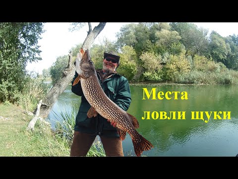 Видео: Щука 1948 часть 5   Места ловли