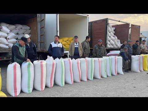 Видео: ХОРАЗМ ОПТОМ ГУРУЧ БОЗОРИ 4-ОКТЯБР ЯНГИ НАРХЛАР ЭРТАЛАБГИ САВДОЛАР !!! ХОРАЗМ БОЗОР