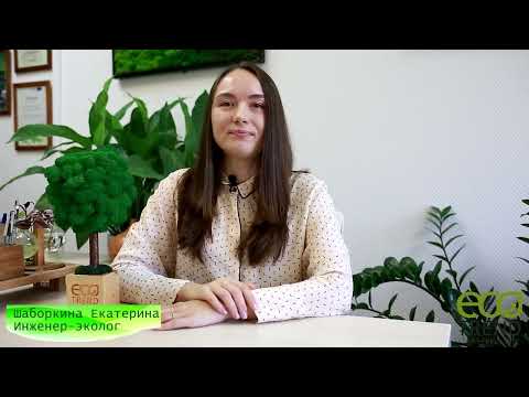 Видео: Паспортизация Отходов: Руководство от Инженера-Эколога Екатерины из ЭкоТренд