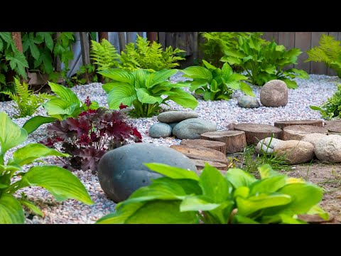 Видео: ИДЕИ ДИЗАЙНА САДА КАМНЕЙ НА ЗАДНЕМ ДВОРЕ | ЗАСУХОСТОЙКИЕ СКАЛЫ: ПРОЕКТЫ САДА КАМНЕЙ, КОТОРЫЕ СПАС...