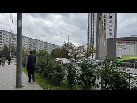 Видео: Рабочие моменты. Назад пути нет: едем или не едем в Китай?🇨🇳 Шарлотка. Племянник удивил❤️