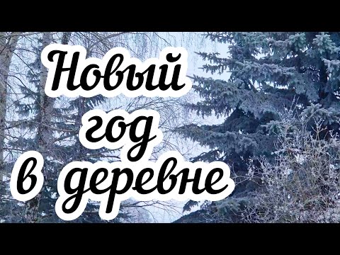 Видео: Новый год в деревне 🏠🎄❄️