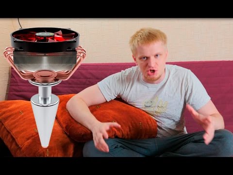 Видео: Славный Обзор. Феншуй и Sushi WOK. Лысый баклажан?