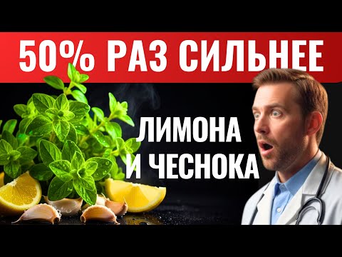 Видео: Это растение меняет работу иммунитета / Ты даже не представляешь, насколько оно мощное