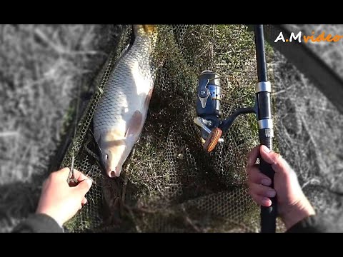 Видео: Рыбалка на Днестре ( Глубокий Т.)  Конец Марта. Когда всё не так и всё не то ))