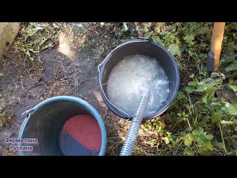 Видео: Друге підживлення кавуна 🍉 та дині 🍈.