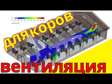 Видео: вентиляция в коровнике - как избежать болезней