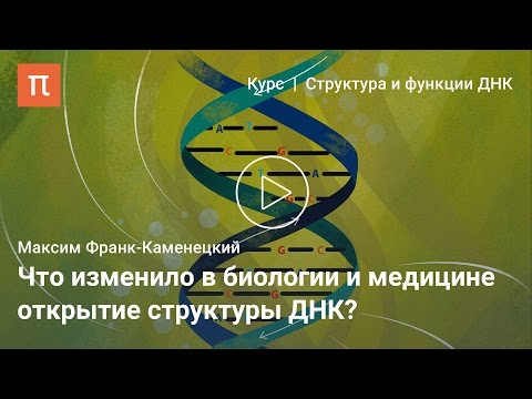 Видео: Открытие структуры ДНК — Максим Франк-Каменецкий
