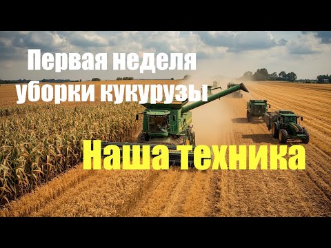 Видео: Неделю косим кукурузу.