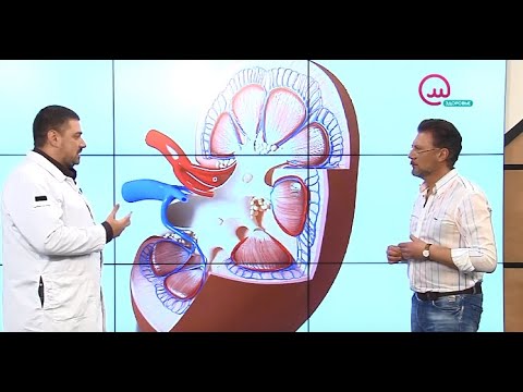 Видео: Доктор знает! Пиелонефрит | Телеканал "Открытый мир. Здоровье"