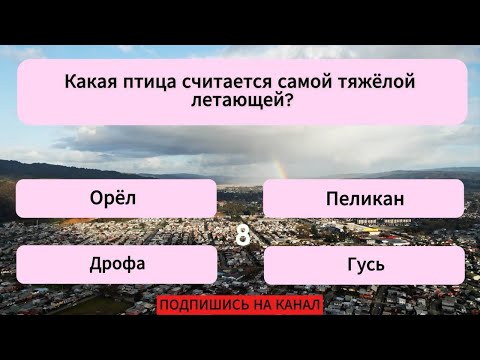 Видео: 20 вопросов, которые покажут ГЕНИЙ вы или НЕТ! Тест на эрудицию