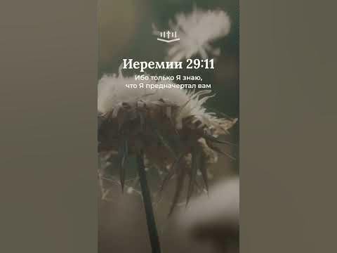 Видео: Иеремии 29:11 современный перевод Библии #shorts