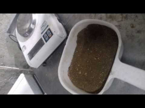 Видео: Рыбное хозяйство осетровое "Царская рыба"