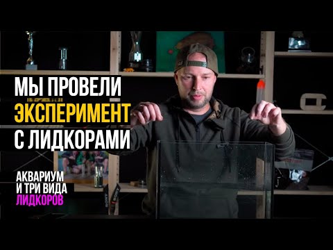 Видео: КАРПОВЫЙ МОНТАЖ ОТПУГИВАЕТ РЫБУ? ЭКСПЕРИМЕНТ С ЛИДКОРАМИ ПОД ВОДОЙ!