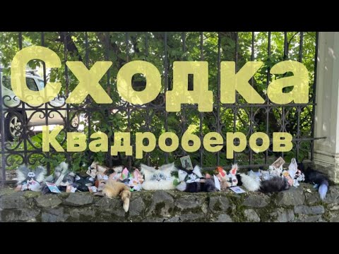 Видео: Сходка квадроберов 10 июня в Перми! #квд #квадробика #quadrobics