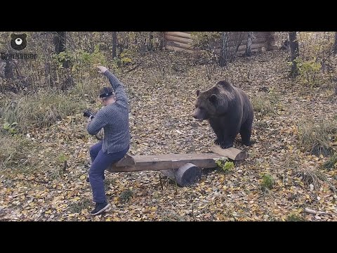 Видео: Я так рад теперь у меня есть качели🐻😊