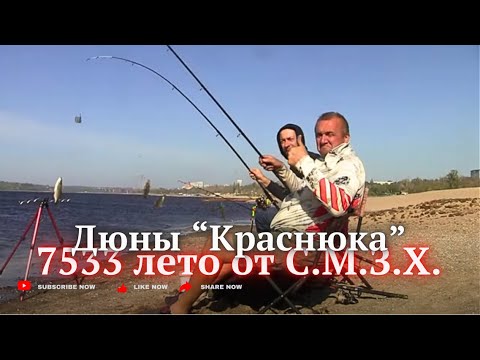 Видео: Дюны КРАСНЮКА. Сильный ветер. Рыбы много. Вся штрафная 15.сент.24г.