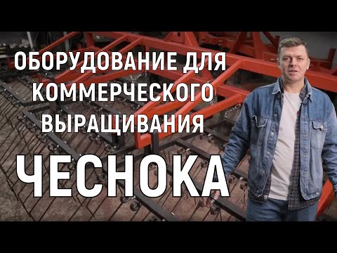 Видео: НАШЕ ПРОИЗВОДСТВО ДЛЯ КОММЕРЧЕСКОГО ВЫРАЩИВАНИЯ ЧЕСНОКА