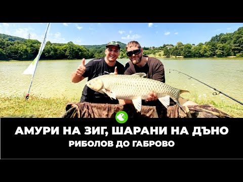 Видео: АМУРИ НА ЗИГ, ШАРАНИ НА ДЪНО - Топ риболов с приятели на Матееви Лейк