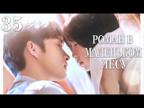Видео: Роман в маленьком лесу 35 серия (русская озвучка) дорама A Romance of The Little Forest