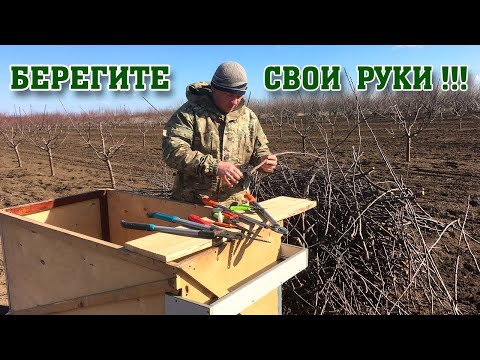 Видео: Идеальные инструменты для обрезки сада!