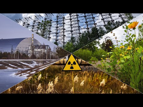 Видео: ПРИПЯТЬ. ВРЕМЕНА ГОДА | Съёмка с дрона 4К