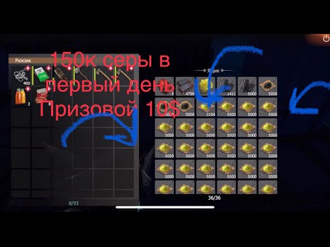 Видео: СОЛО/ДУО ПРИЗОВОЙ 10$. У нас было 150к серы в первый день