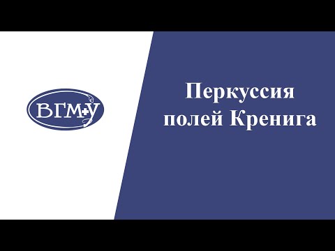 Видео: Перкуссия полей Кренига