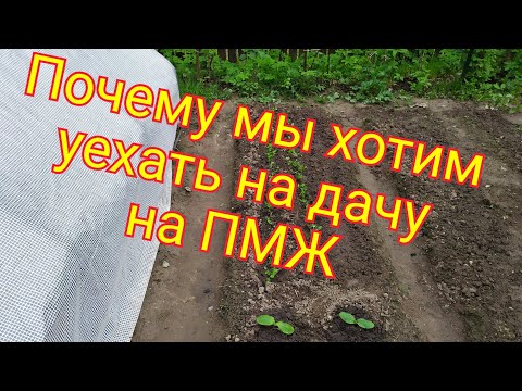 Видео: Жить на даче/Почему хотим уехать на ПМЖ/Дачи стали пользоваться спросом