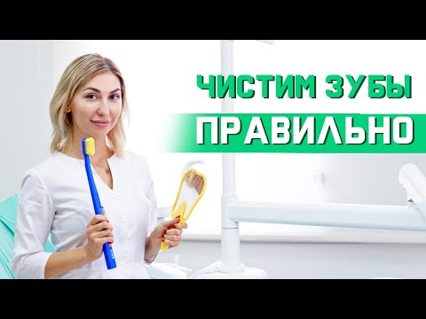 Видео: Как чистить зубы правильно? Как выбрать зубную щетку? #зубы #зубнаящетка #болитзуб