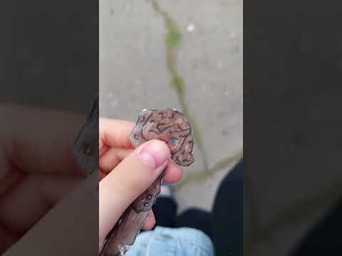 Видео: Я гуляю с джуни
