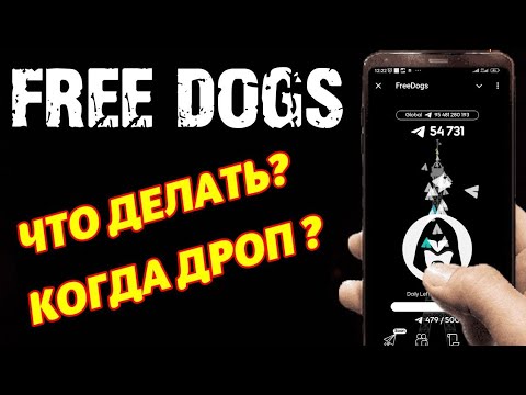 Видео: FREEDOGS  что делать? когда дроп?