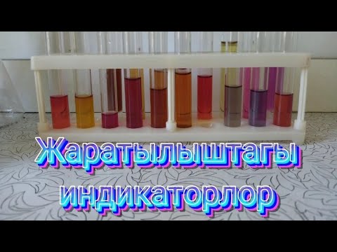 Видео: Жаратылыштагы индикаторлор. Природные индикаторы.