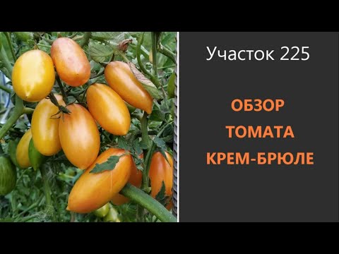 Видео: Томат Крем-брюле. Вкуснее мороженого!