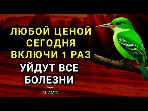 Видео: ЛЮБОЙ ЦЕНОЙ ВКЛЮЧИ 1 РАЗ! УЙДУТ ВСЕ БОЛЕЗНИ! Сильнейшая молитва об исцелении 🔑✨🤲