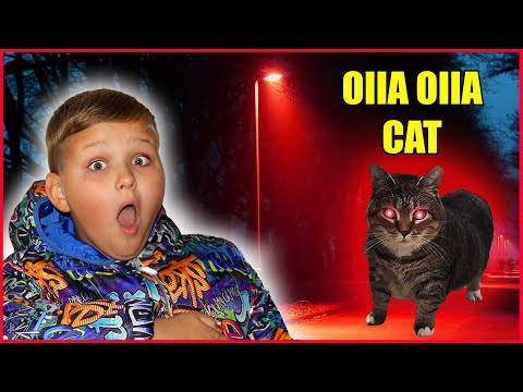 Видео: OIIA OIIA CAT в РЕАЛЬНОЙ ЖИЗНИ!