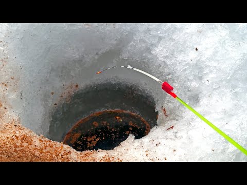 Видео: Вернулся на Яму, где живёт КРУПНЯК .. мормышка с поводком решила! Рыбалка в феврале