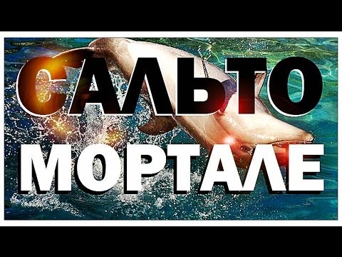 Видео: Галилео. Сальто-мортале