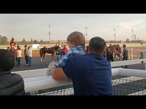 Видео: Про семью, мужа,  золовок и пр. Влог. Турецкая семья