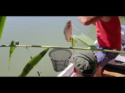 Видео: рыбалка  Или 37 партия