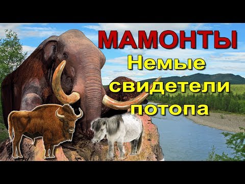 Видео: Вечная мерзлота. Мамонты. Немые свидетели потопа.